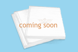 Klebegebundene Broschüre